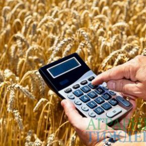 Кабмин нарушил норму Бюджетного кодекса о выплате аграриям 1% аграрного ВВП