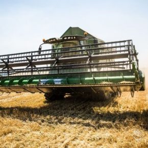 На Запорожье урожайность зерновых выросла практически на треть
