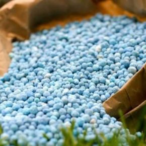 Союз химиков Украины предлагает ввести квоты на импорт удобрений