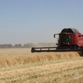 На Прикарпатье аграрии перешагнули экватор жатвы ранних зерновых
