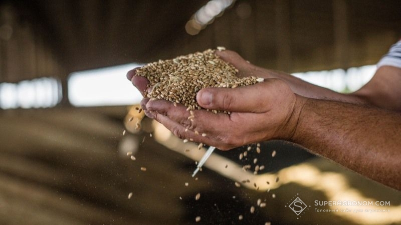 Врожайність ранніх зернових на Хмельниччині перевищує 5 т/га
