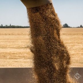 Аграрии Винницкой области собрали более 2 млн. тонн зерна