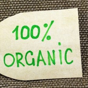 Названы 6 ключевых нововведений закона об органической продукции