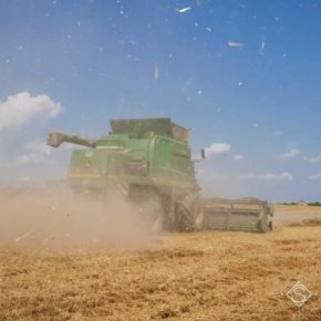 В Украине сельхозпроизводство выросло — Госстат