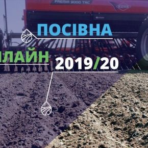 За площадями, засеянными рапсом лидирует Днепропетровщина — Посевная Онлайн 2019/20