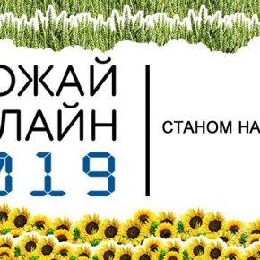 Средняя урожайность пшеницы в Украине превышает 4 т/га — Урожай Онлайн 2019