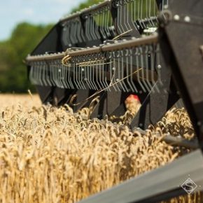 Аграрии Винницкой области превзошли прошлогодний показатель валового сбора зерна