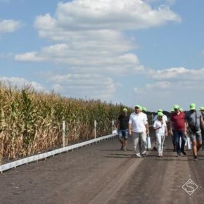 LNZ Hub открывает новые возможности в семеноводстве и защите культур — аграрии