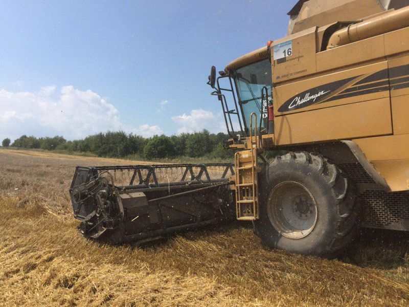 Нa Чернігівщині зібрaно врожaй рaнніх зернових мaйже нa 80% площ
