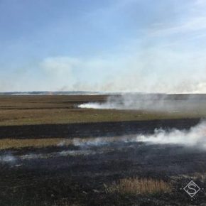 Тернопольских аграриев оштрафовали за сжигание стерни
