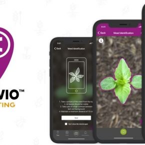 Цифровую платформу xarvio™ от BASF признан лучшей инновацией в растениеводстве и почвоведении