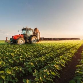 Межотраслевой экологический альянс запустил новую кампанию по запрету пестицидов в ЕС