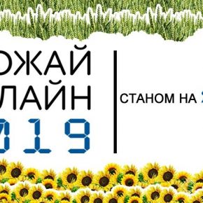 На юге Украины подсолнечник собирают при урожайности 1,4 т/га — Урожай Онлайн 2019