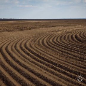 Около 1,2 млн га сельхозземель в Украине продано в обход моратория — заявление