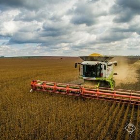 В Украине собрано половину урожая сои