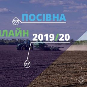 Аграрии массово приступили к севу озимых зерновых — Посевная Онлайн 2019/20