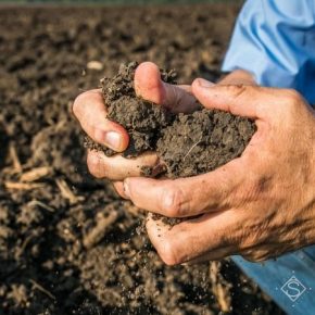 Аграрии Луганщины работают над сохранением и улучшением плодородия почв