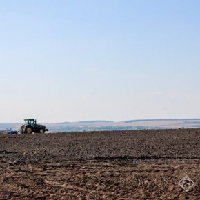 До 80% украинских почв страдают от недостатка питательных веществ — ученый