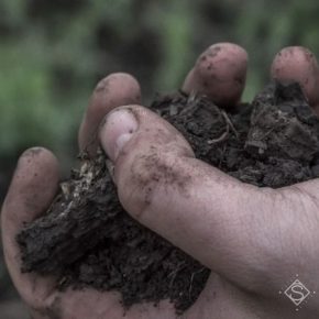 Со следующего года в Украине будет запущена система мониторинга состояния почв