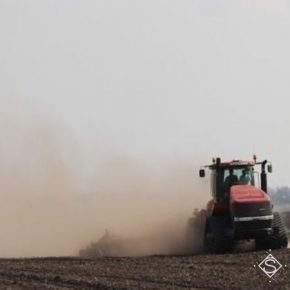 Засуха летом сказалась на посевной озимых осенью
