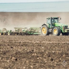 Определено, сколько земли в Украине агрохолдинги обрабатывают