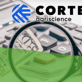 За первые полгода объемы продаж семена Corteva сократились на 8%