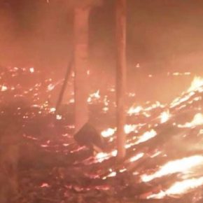 Огонь уничтожил 1,5 тыс. тонн семян подсолнечника в Днепропетровской области