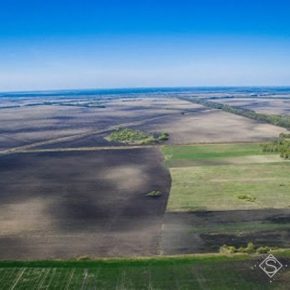 Больше всего незареєестрованих сельхозземель на Юге — Милованов