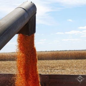 Украина обновила рекорд валового сбора зерна