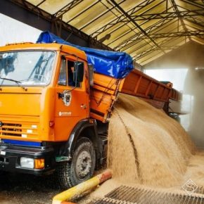 Названы ТОП-5 областей Украины с самыми высокими ценами на зерно