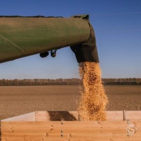В Украине собрано более 75 млн тонн зерна нового урожай
