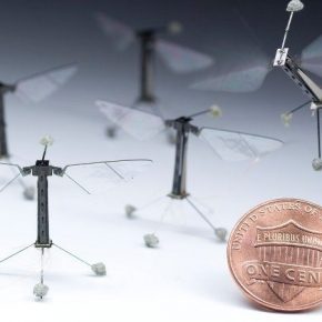 Для опыления растений создано летающих микроскопических роботов