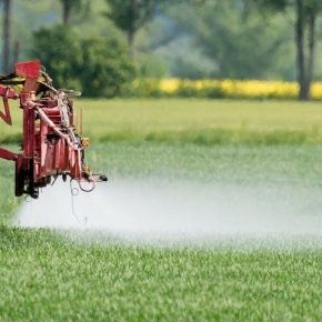 Франция запретит 36 гербицидов на основе глифосата