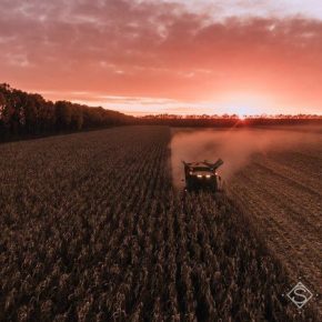 На Винниччине получен один из самых больших урожаев зерна в Украине