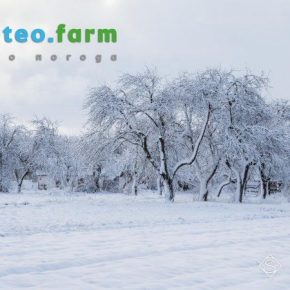 В Украине ожидается похолодание и снег — недельный прогноз погоды