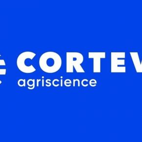 Финансовая эффективность Corteva в сегменте снизилась семена