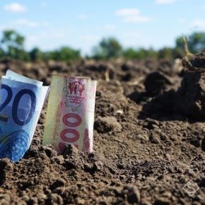 Стоимость аренды земли в Винницкой области достигла уровня ЕС