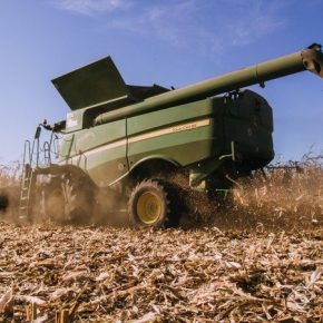За 9 сезонов урожайность кукурузы в Украине выросла более чем в полтора раза