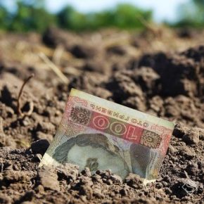 За разорение памятника археологии фермер оплатил 300 тысяч гривен штрафа