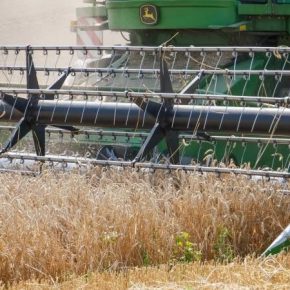 Прошлый год отметился очередным рекордом в урожае зерна на Черниговщине