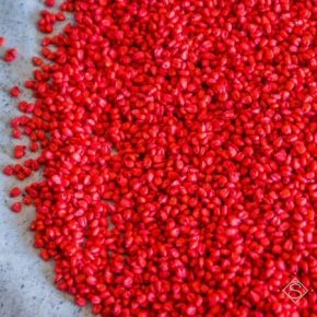 За счет агрохолдингов в Украине растет спрос на импортные семена — эксперт