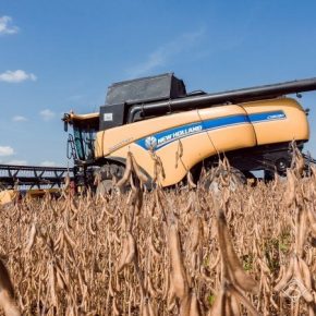 Украина входит в ТОП-5 стран мира по эффективности агропроизводства