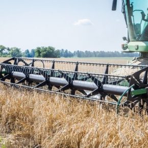На 2020 год Украине прогнозируют спад объемов сельхозпроизводства