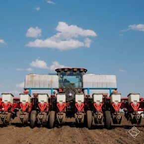 В Одесской области аграрии начали сеять подсолнечник