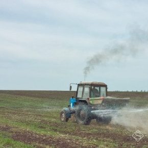 Николаевские аграрии завершают подкормку озимых зерновых