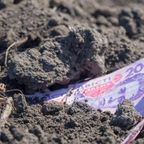 Теневая аренда сельхозземель в Украине достигает 70 млрд грн