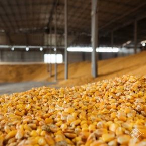 Сельхозпроизводство в Украине за квартал снизилась практически на 2%