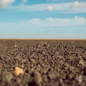 Американские ученые разработали новый тест на определение насыщенности почвы азотом
