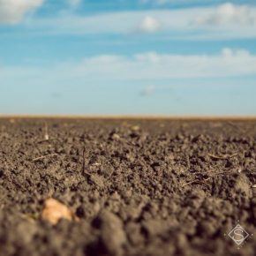 В Винницкой области зафиксирован критически низкий уровень влаги в почве