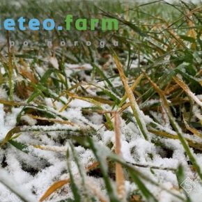 На Украину надвигается похолодание с мокрым снегом и ночными заморозками